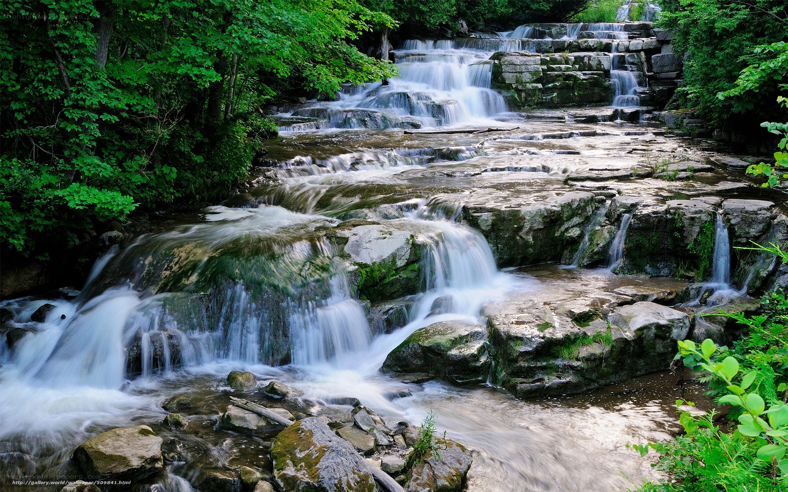 Waterfall in a lush forest