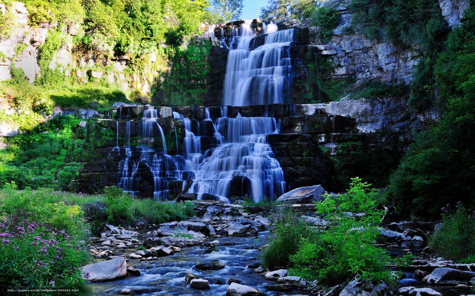 Waterfall in a lush forest
