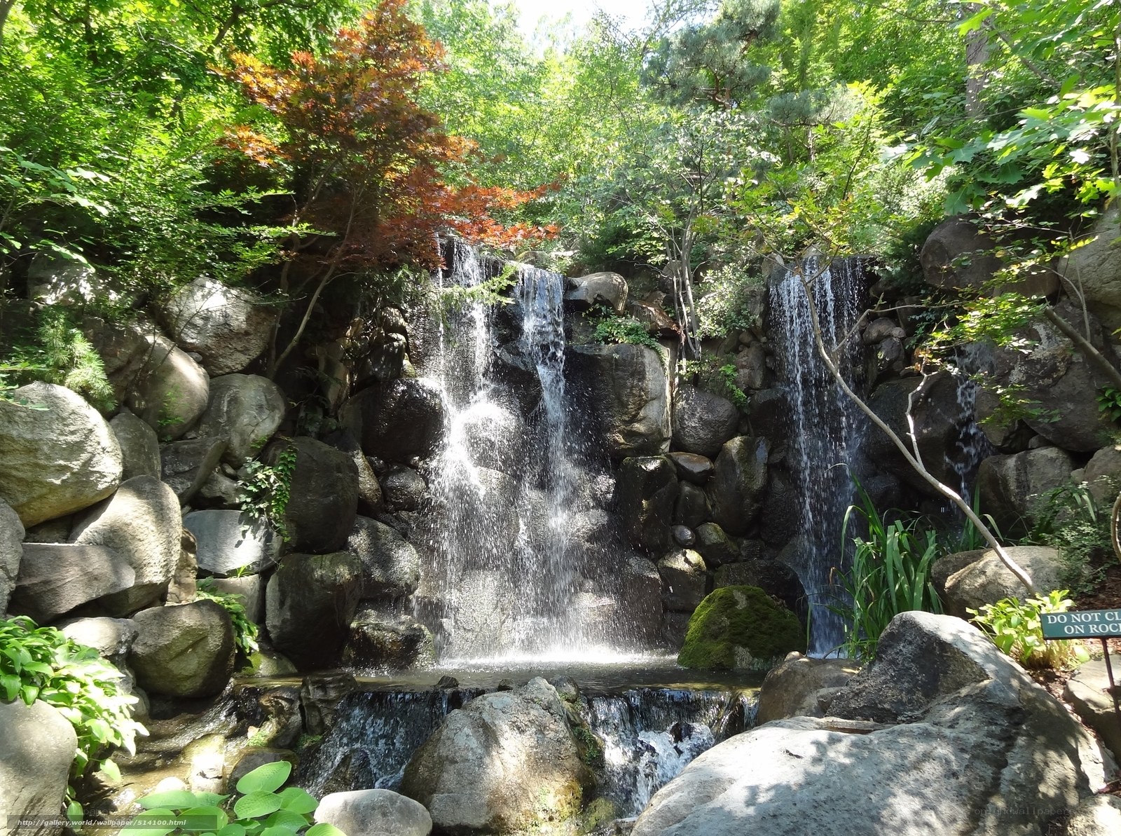 Waterfall in a lush forest