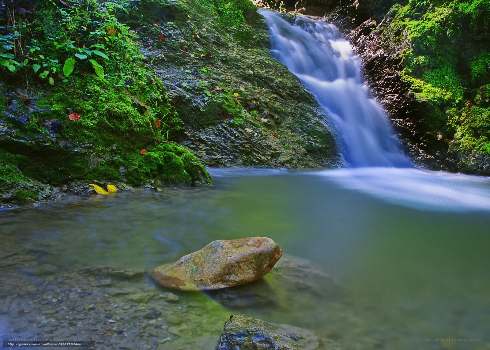 Waterfall in a lush forest