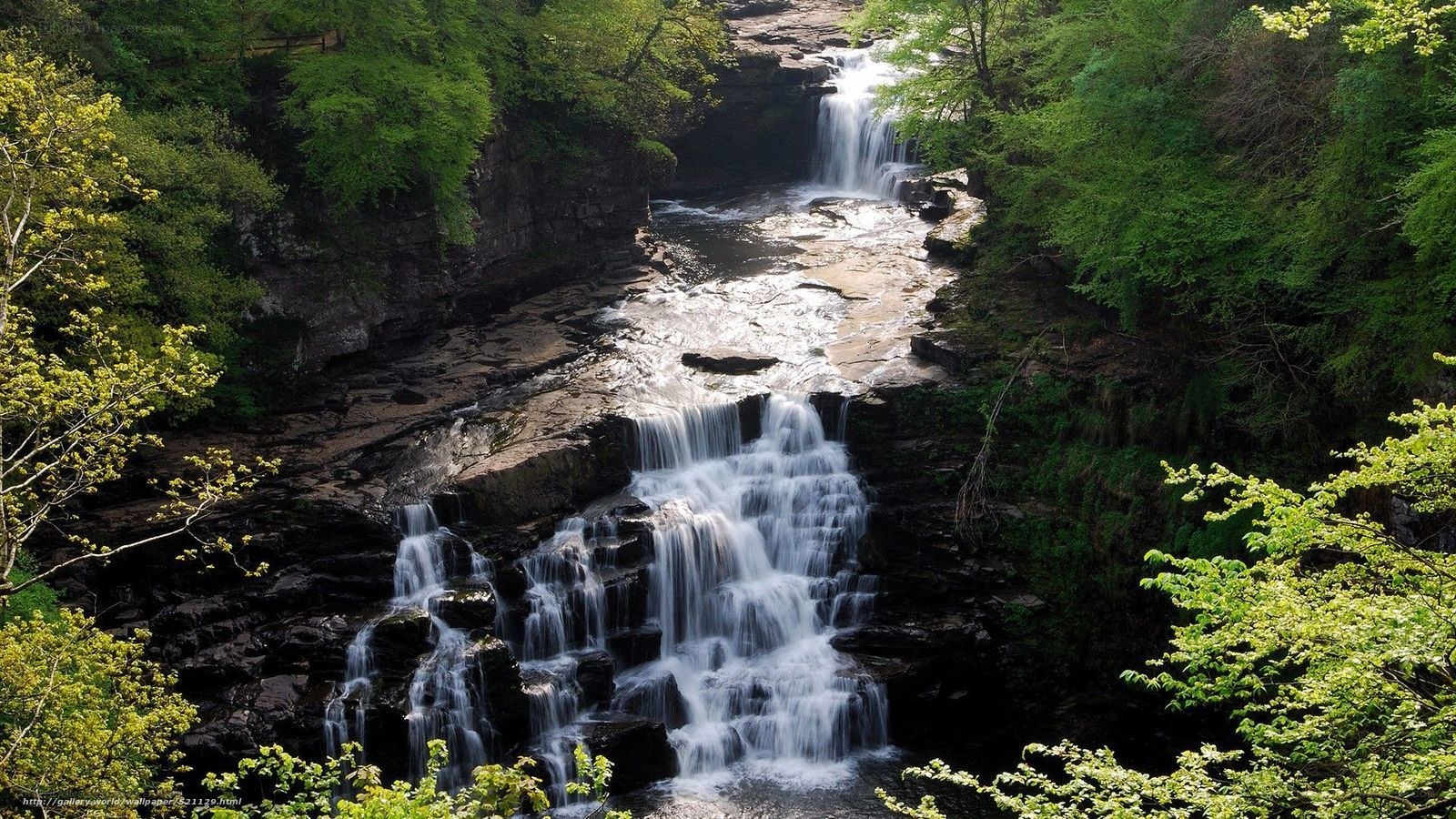 Waterfall in a lush forest