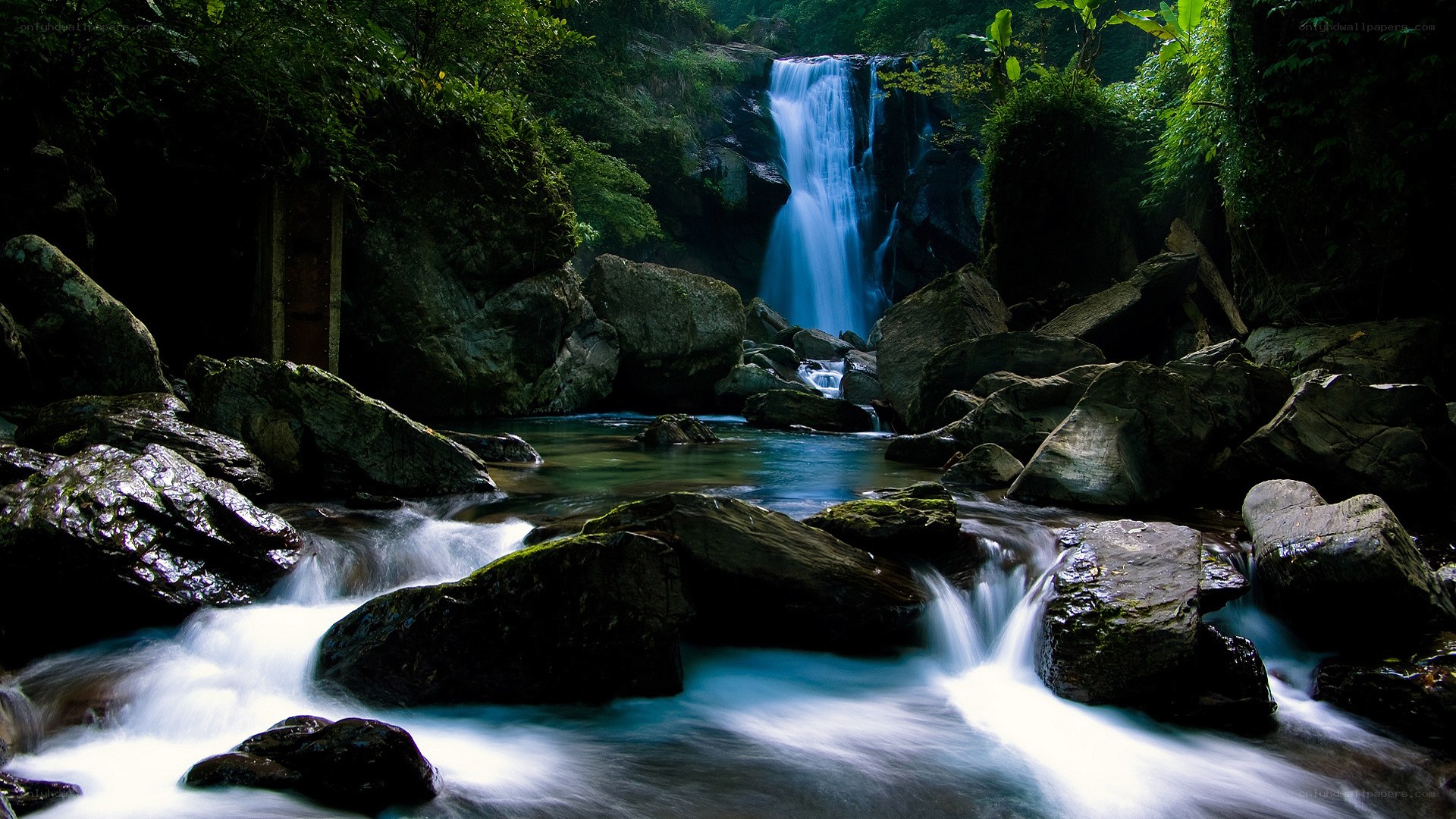 Waterfall in a lush forest