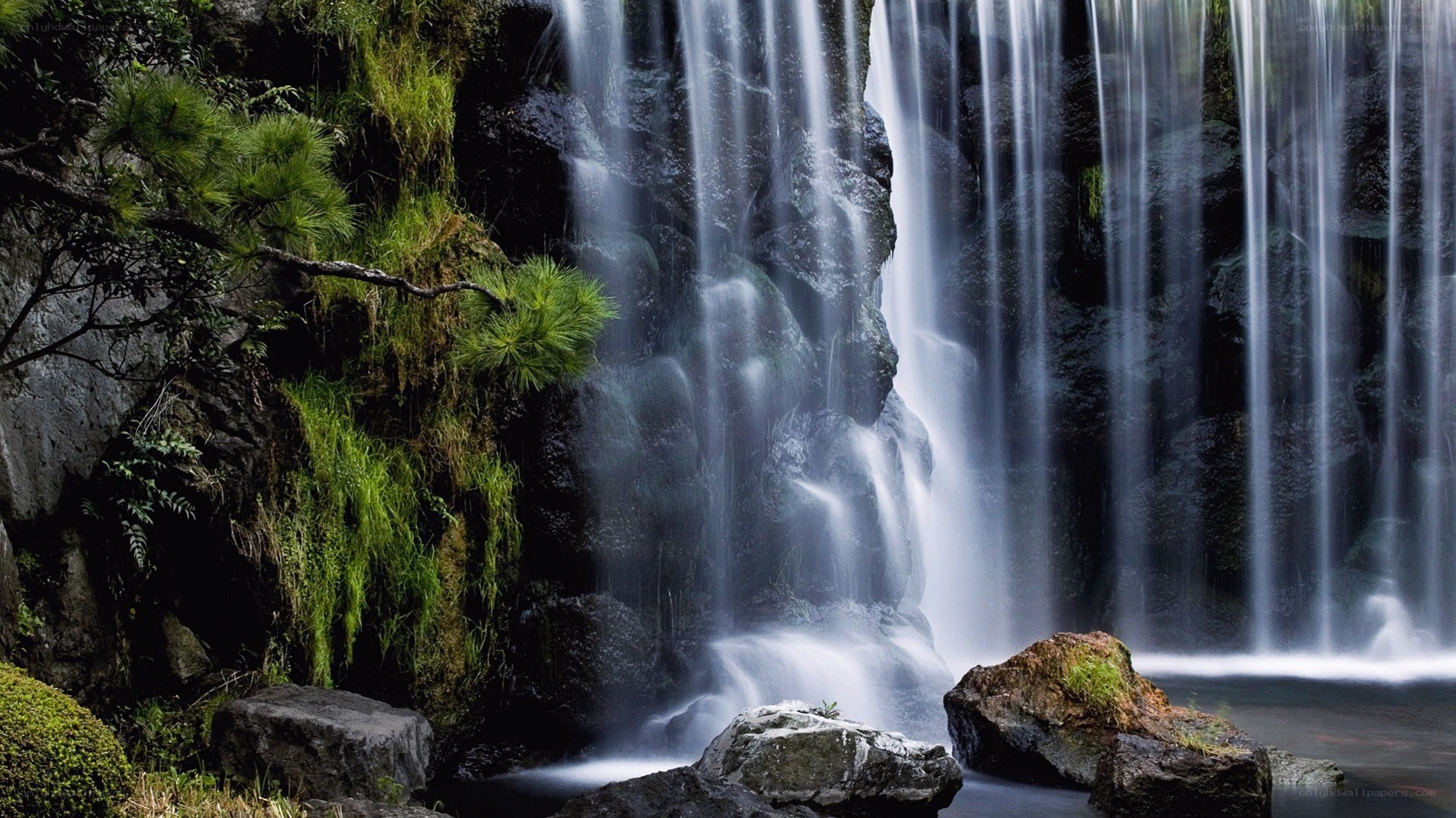 Waterfall in a lush forest