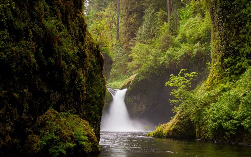 Waterfall in a lush forest canyon