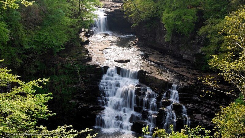 Waterfall in a lush forest