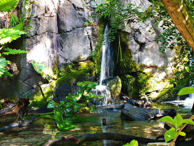 Waterfall in a lush garden