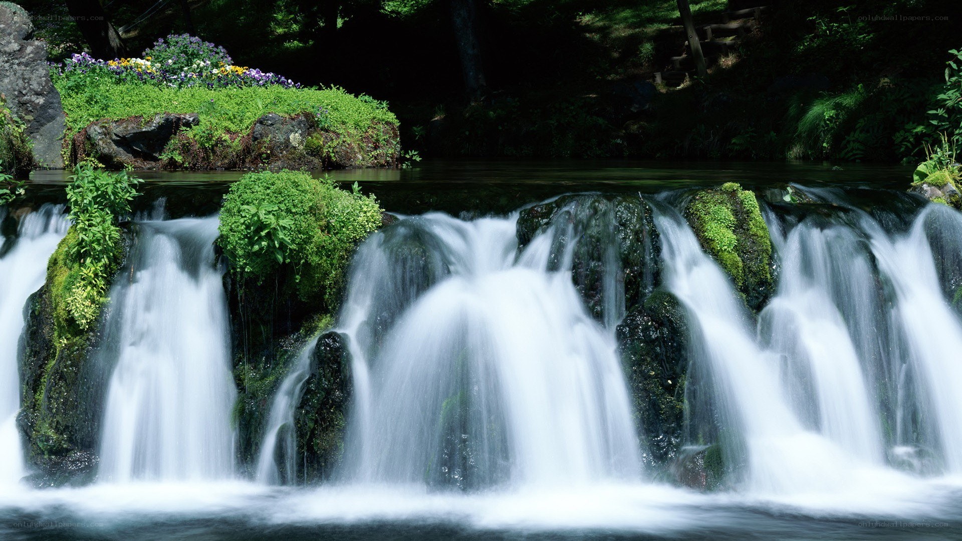Waterfall in a lush garden