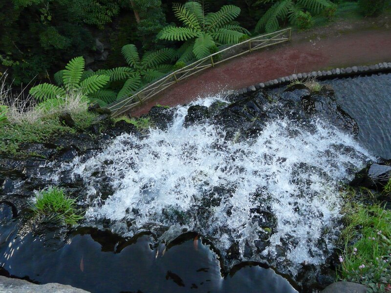 Waterfall in a lush garden