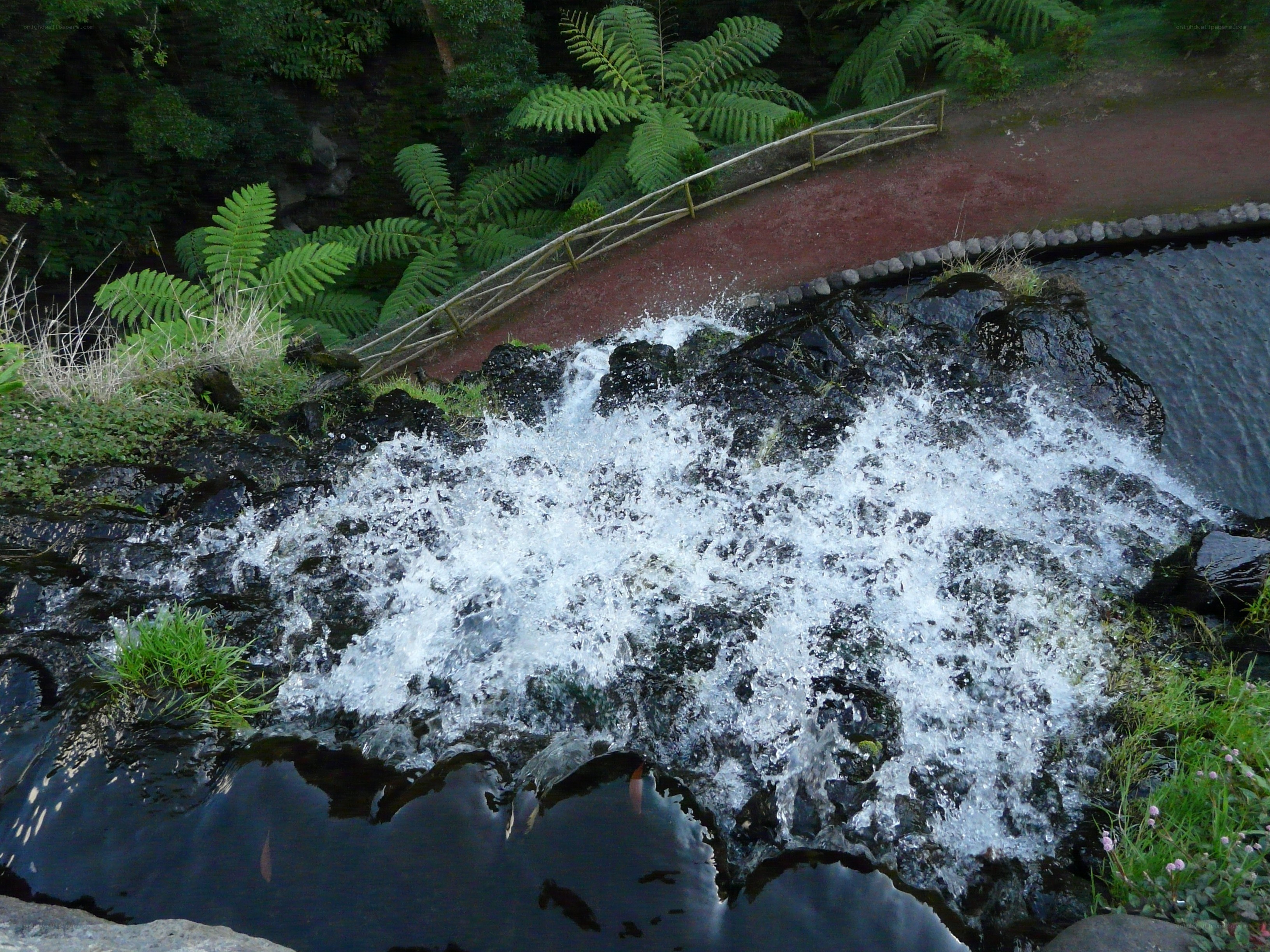 Waterfall in a lush garden