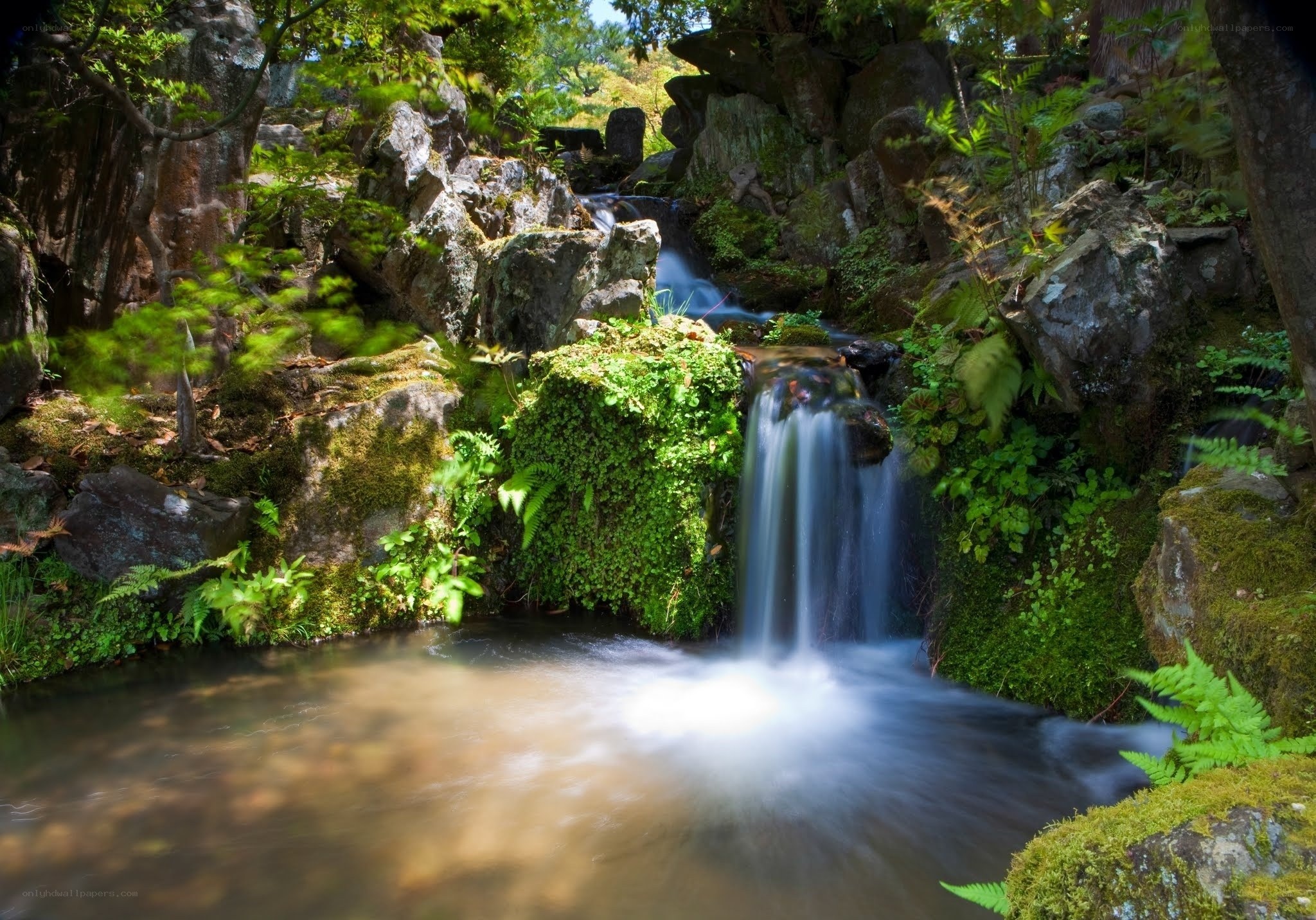 Waterfall in a lush garden