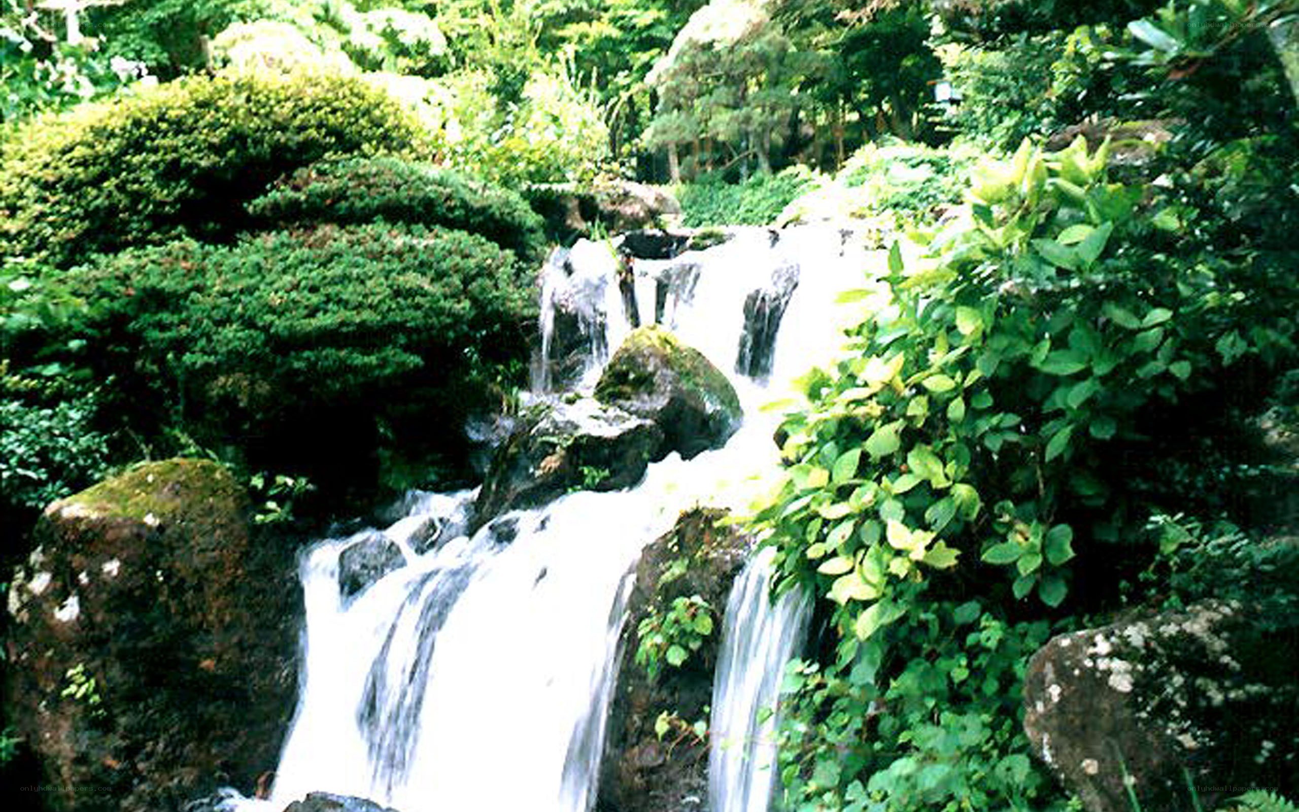 Waterfall in a lush garden