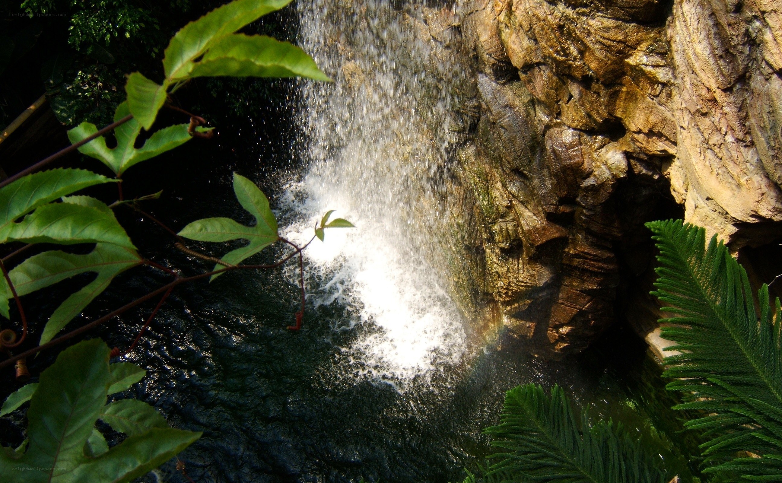 Waterfall in a lush garden