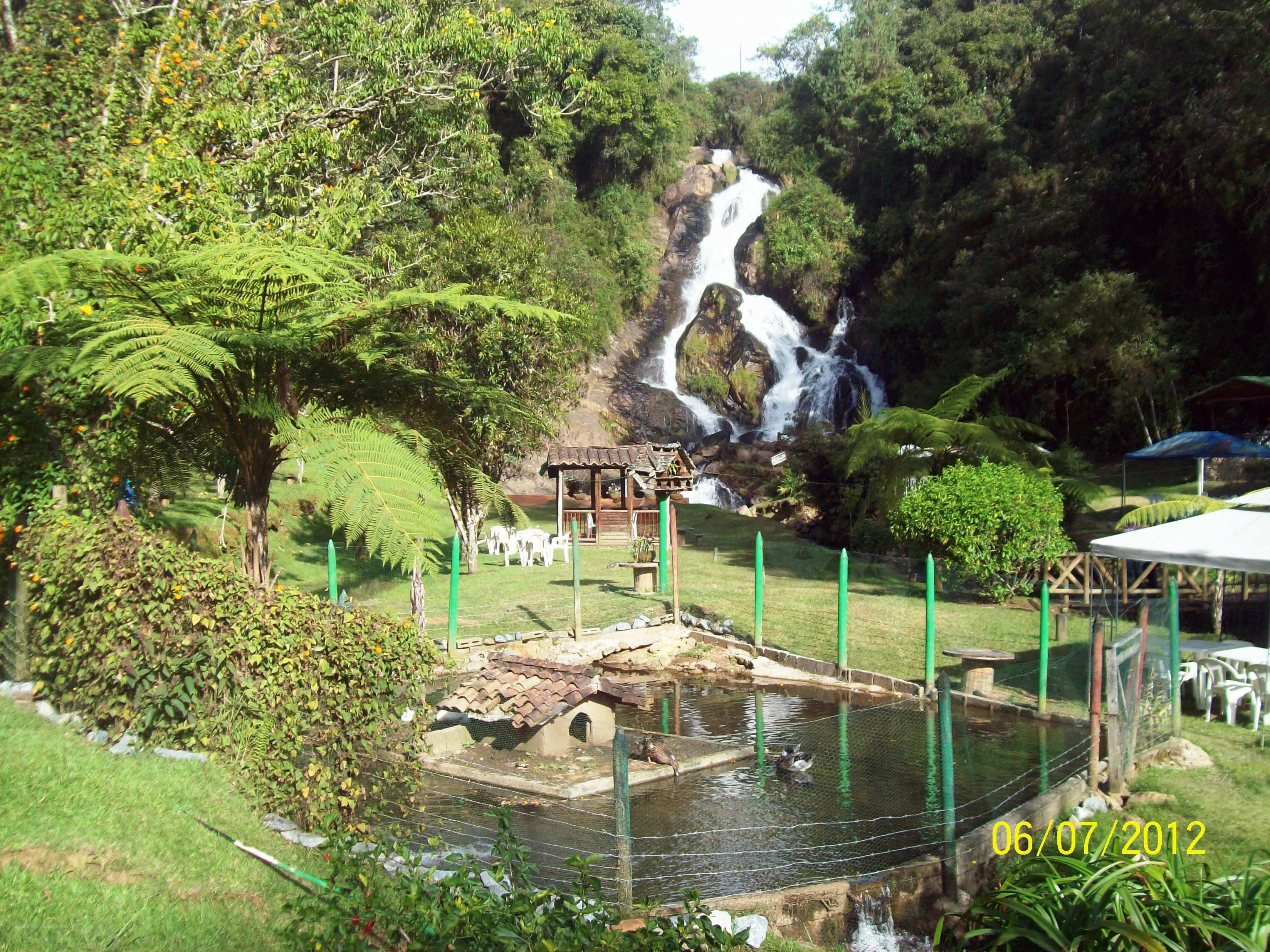 Waterfall in a lush garden