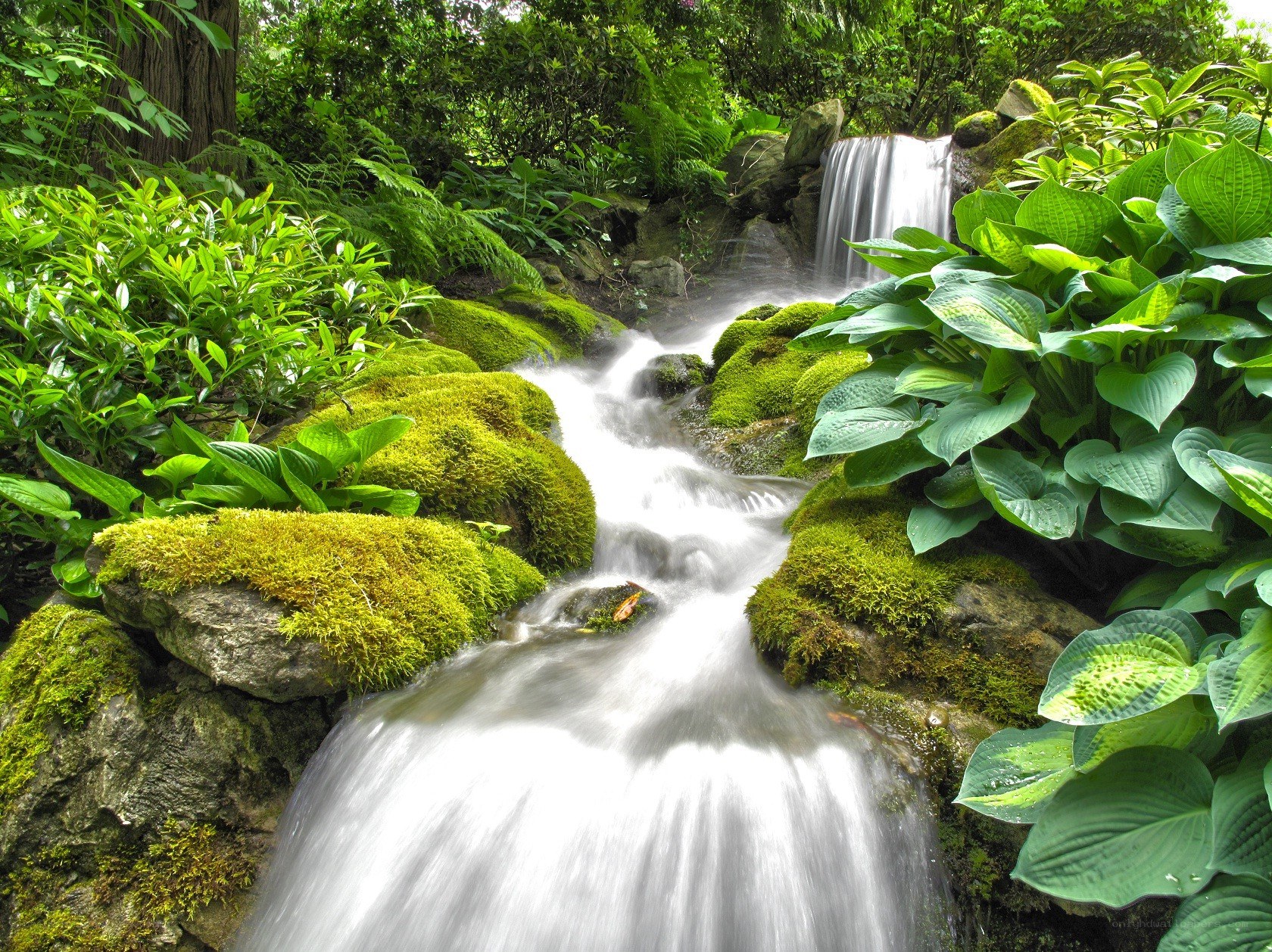 Waterfall in a lush garden