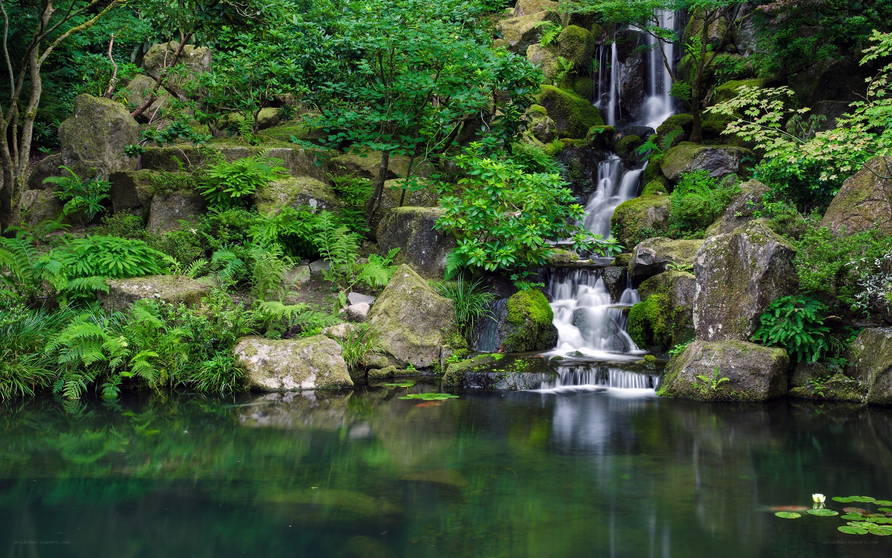 Waterfall in a lush garden