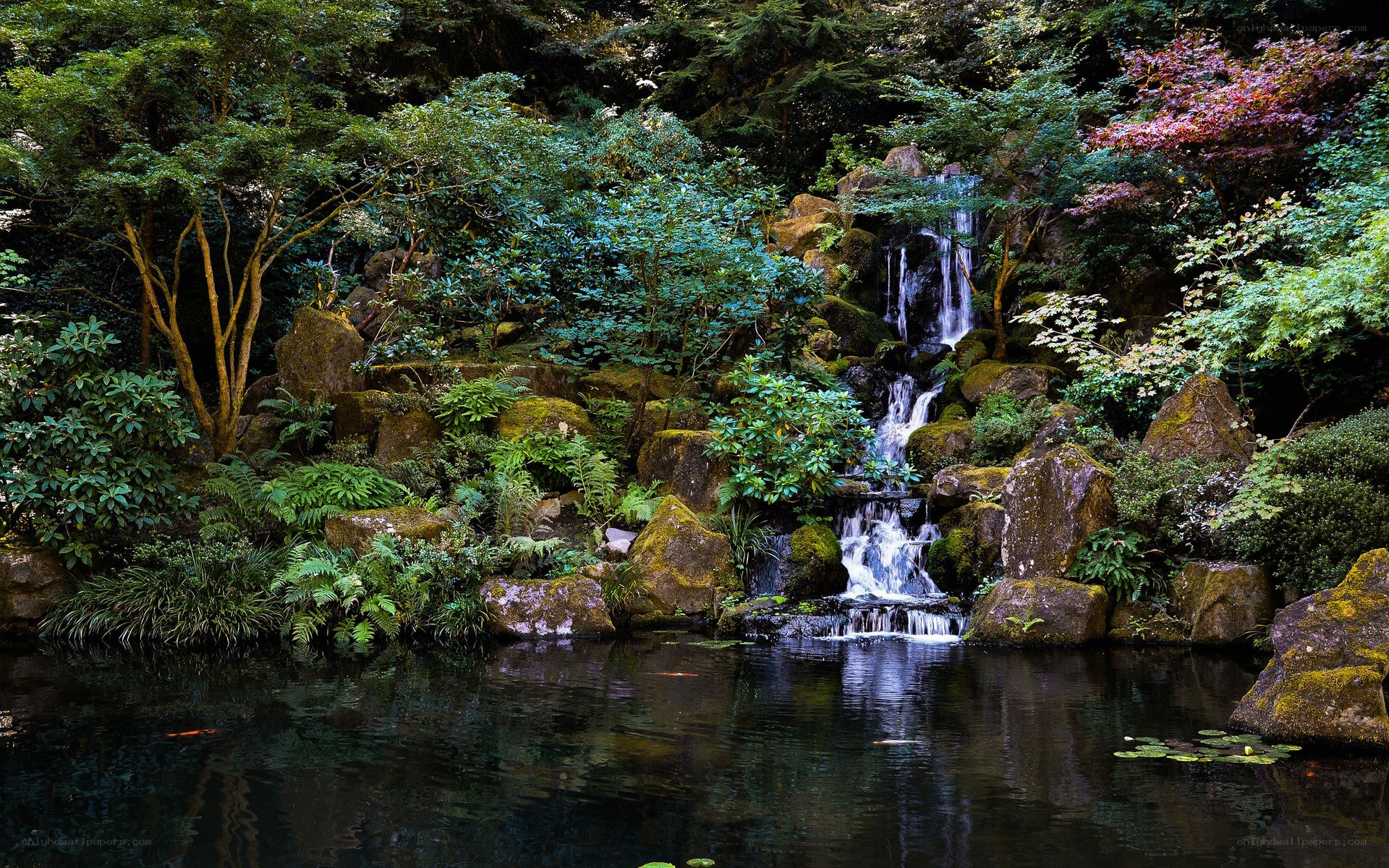 Waterfall in a lush garden