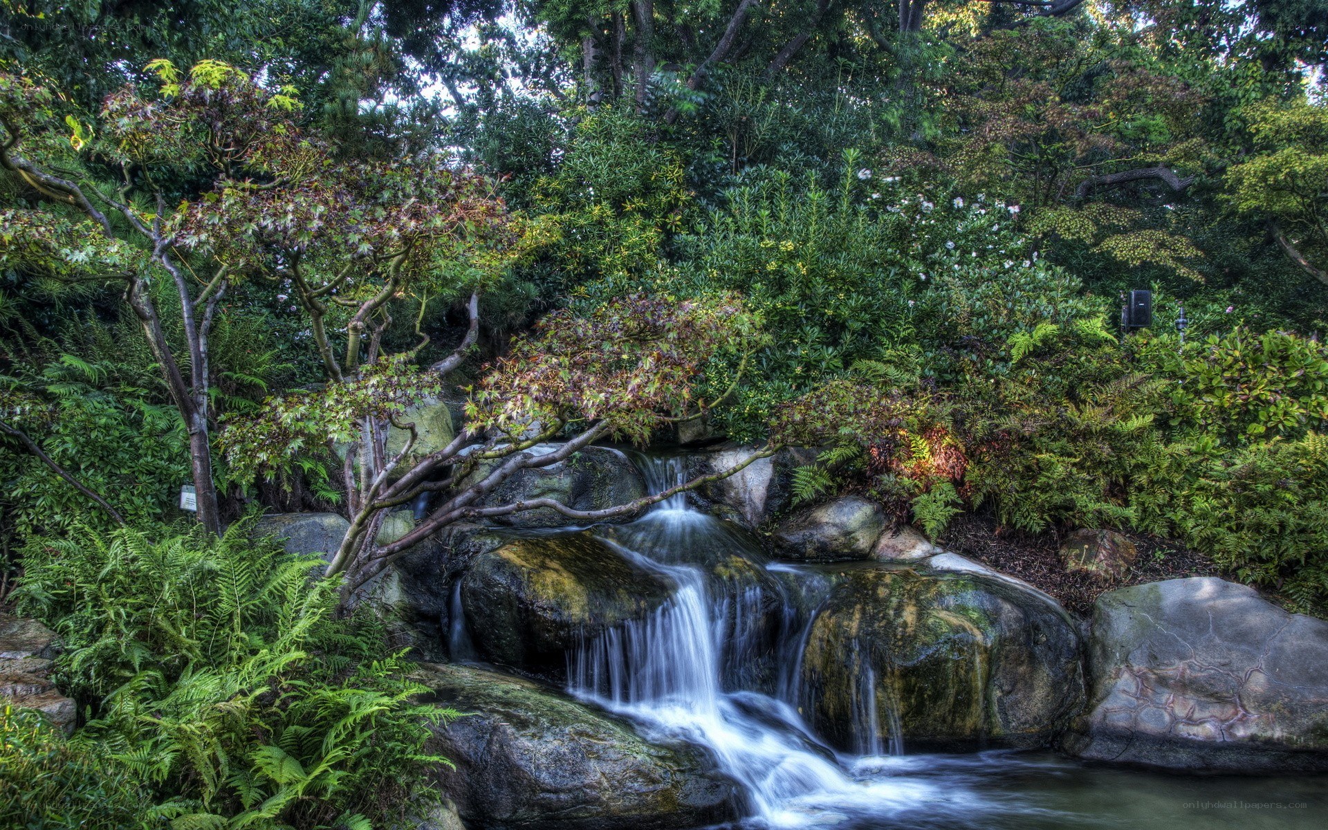 Waterfall in a lush garden