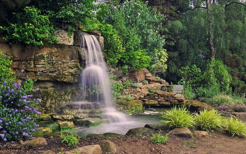 Waterfall in a lush garden