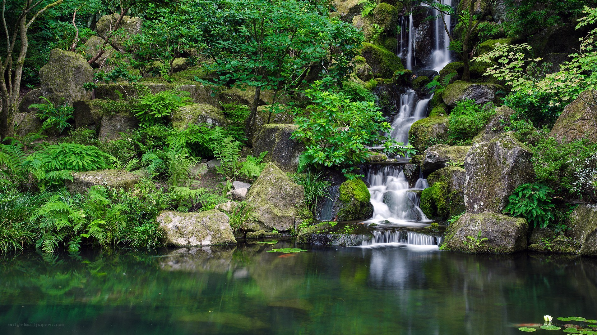 Waterfall in a lush garden