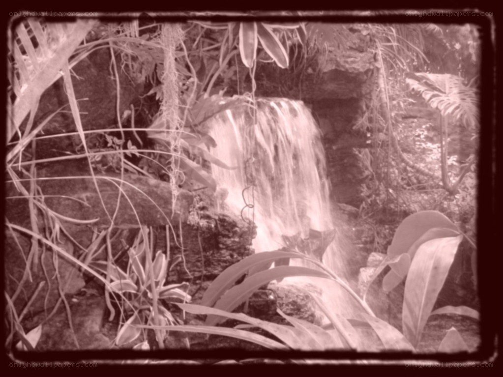Waterfall in a lush garden