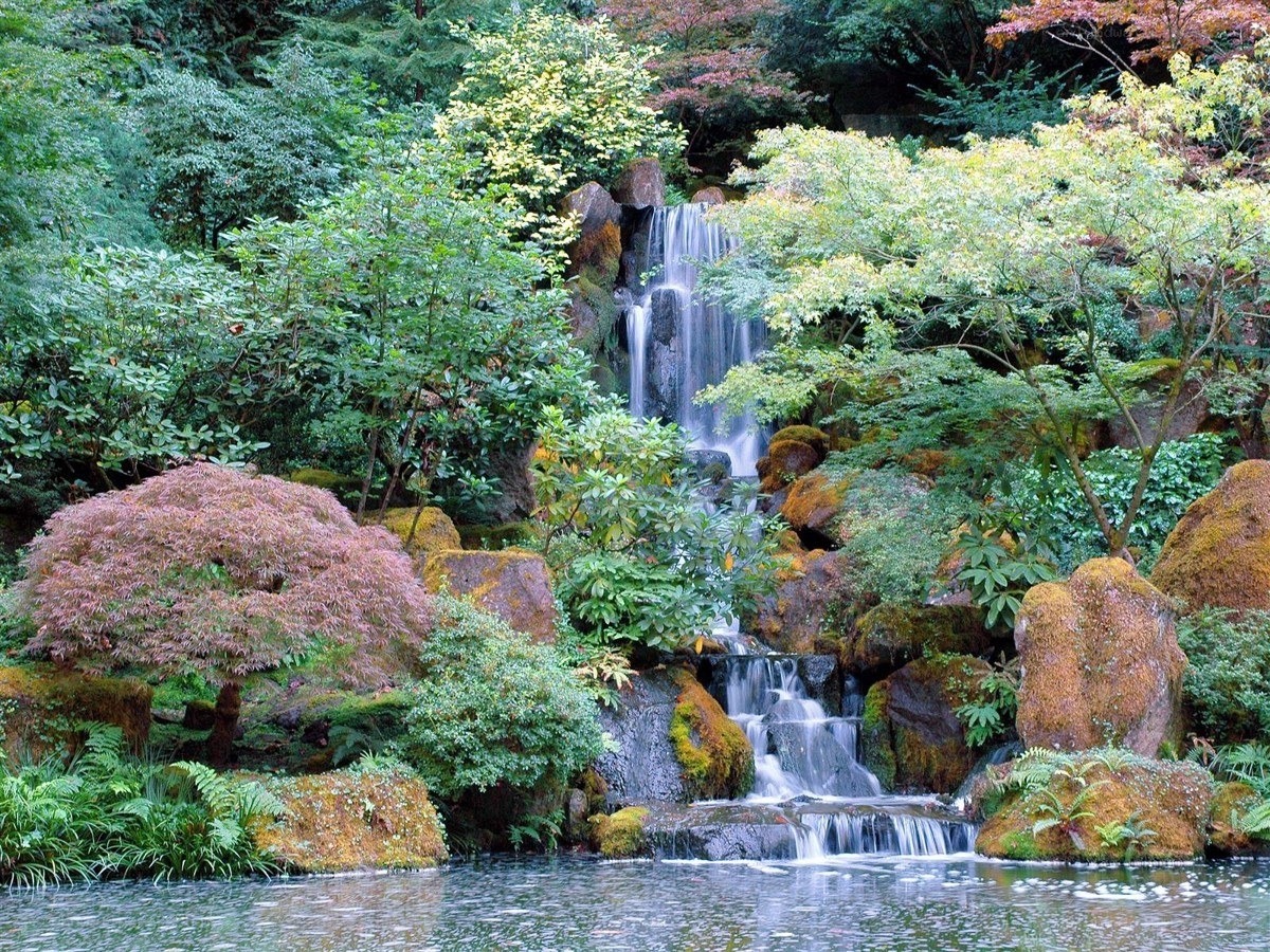 Waterfall in a lush garden