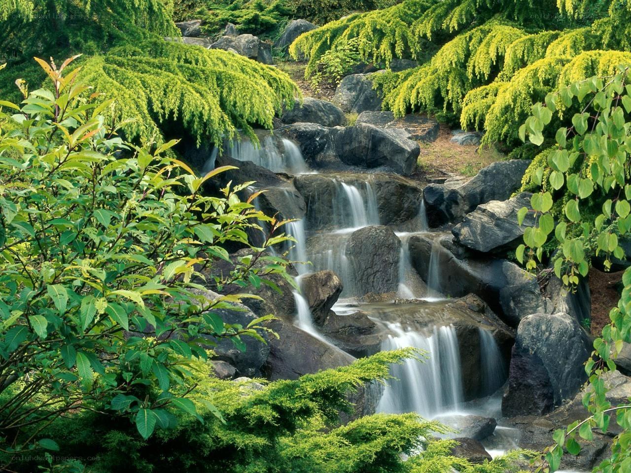 Waterfall in a lush garden