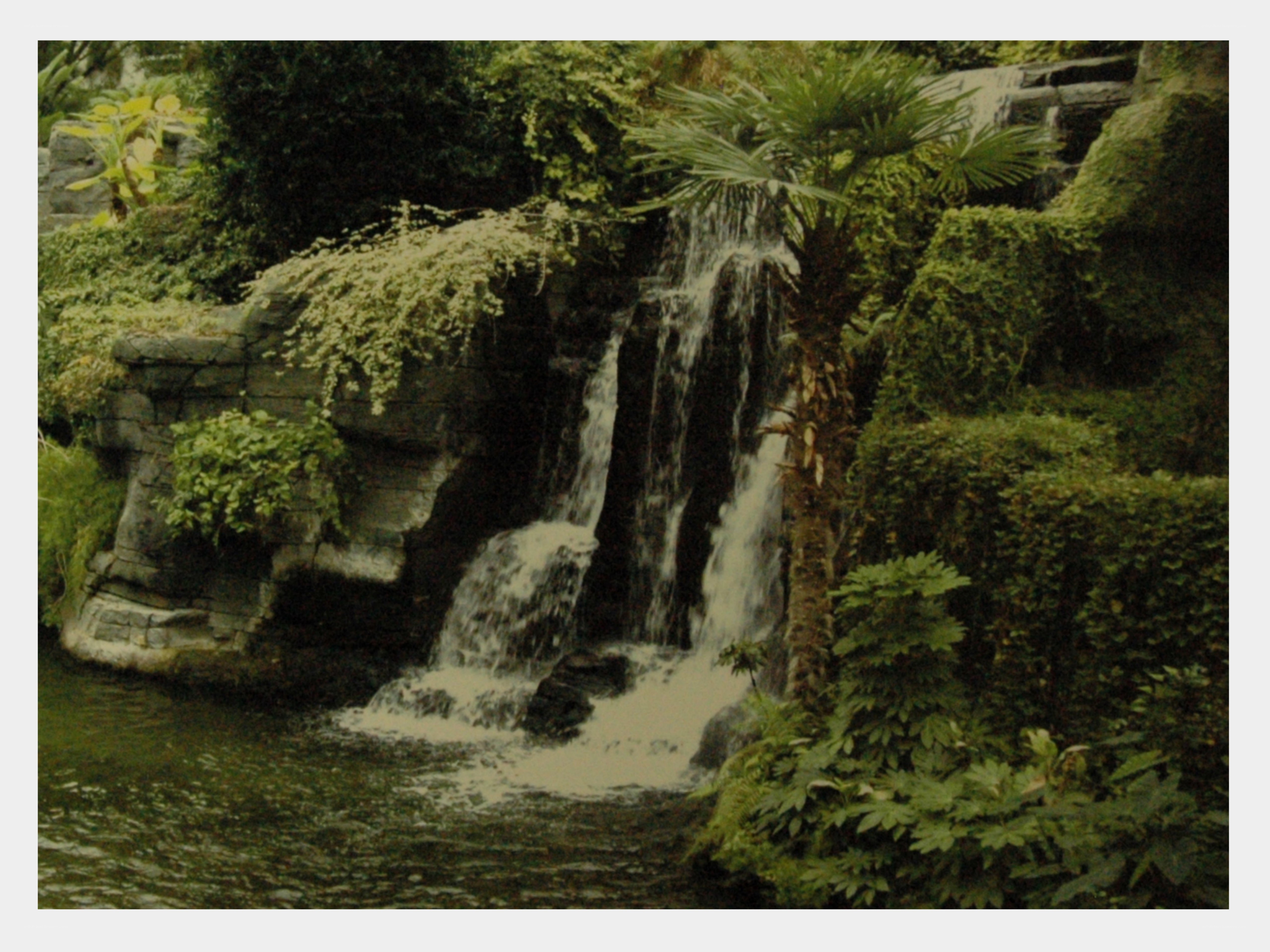 Waterfall in a lush garden