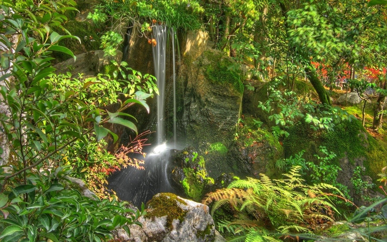 Waterfall in a lush garden