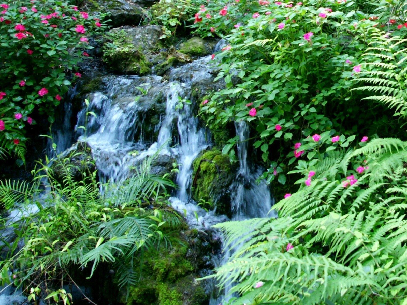 Waterfall in a lush garden
