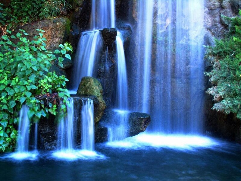 Waterfall in a lush garden