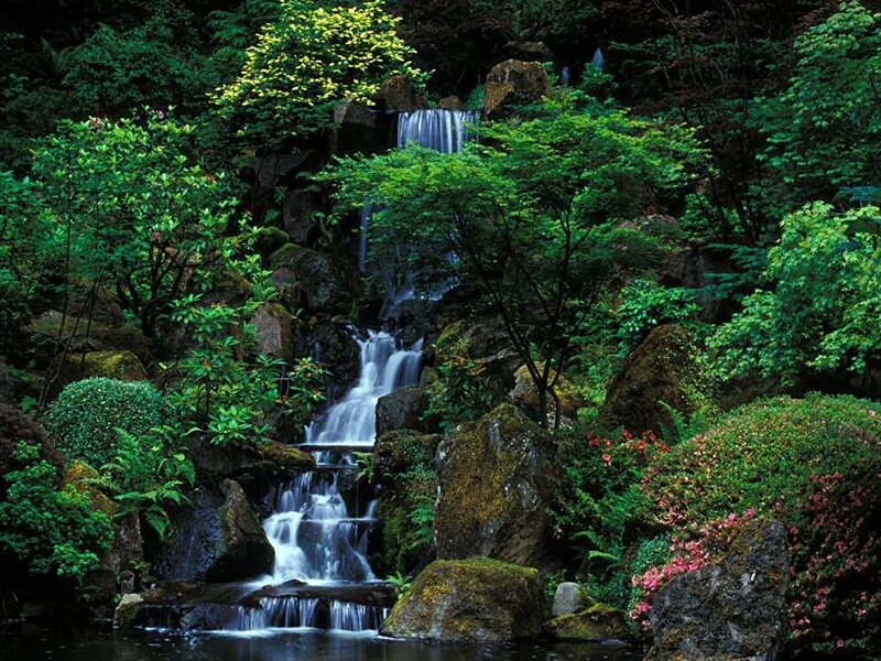 Waterfall in a lush garden