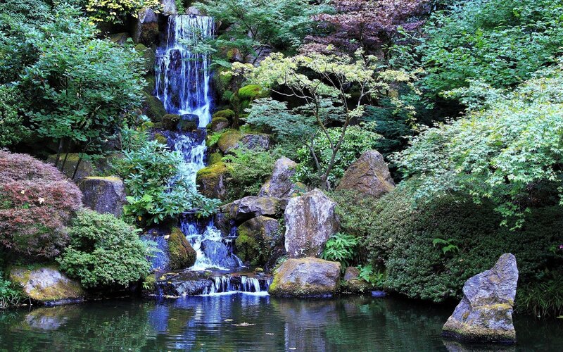 Waterfall in a lush garden