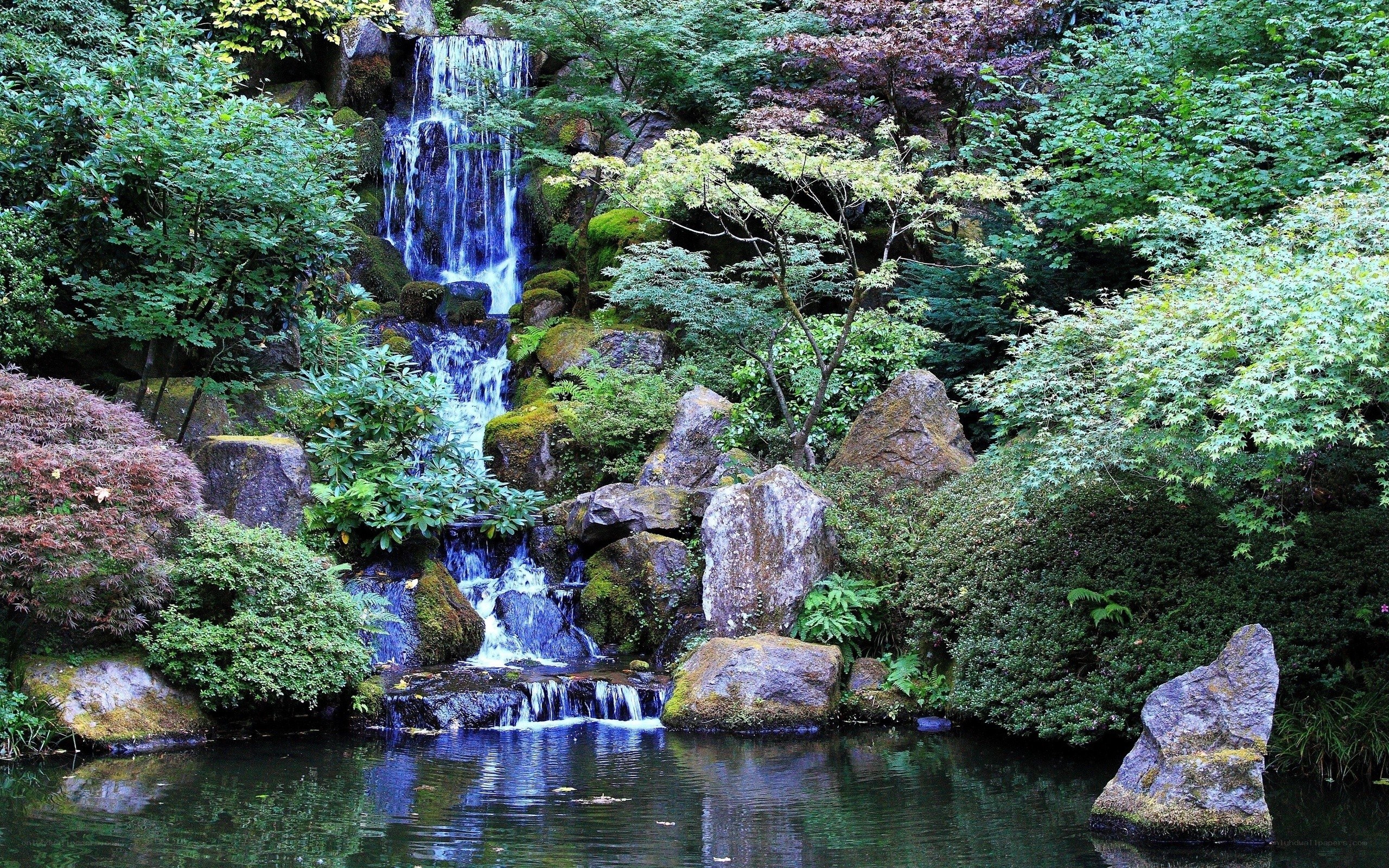 Waterfall in a lush garden