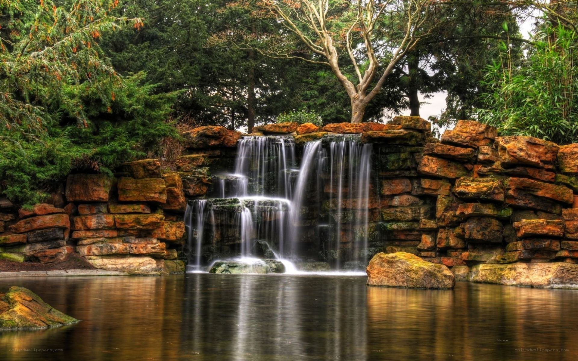 Waterfall in a lush garden