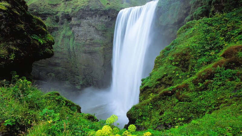 Waterfall in a lush green canyon