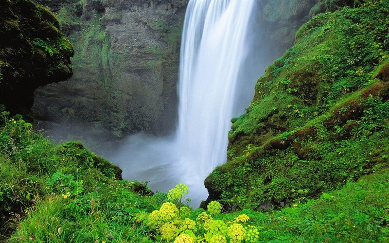 Waterfall in a lush green canyon