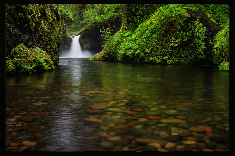 Waterfall in a lush green canyon