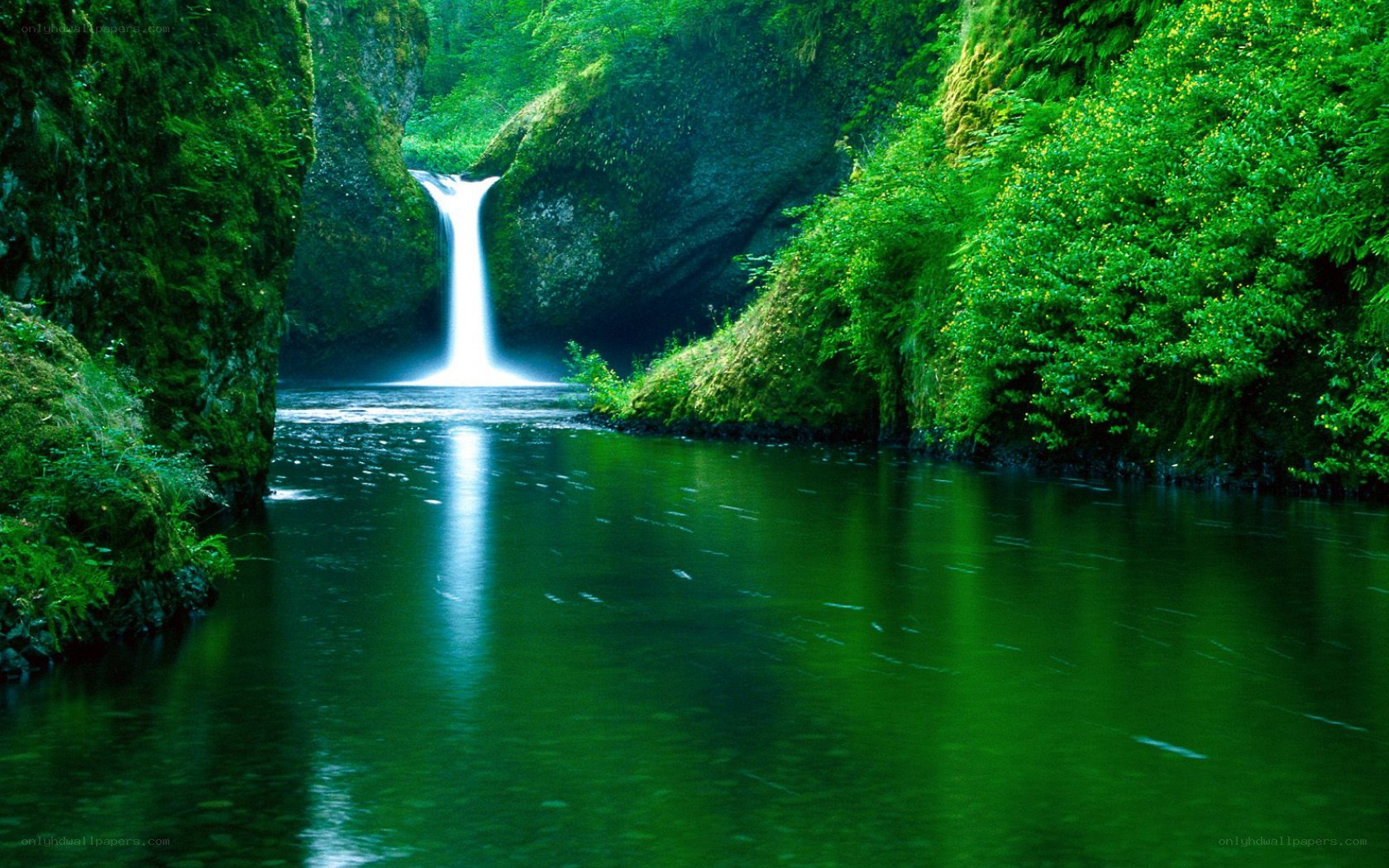 Waterfall in a lush green canyon