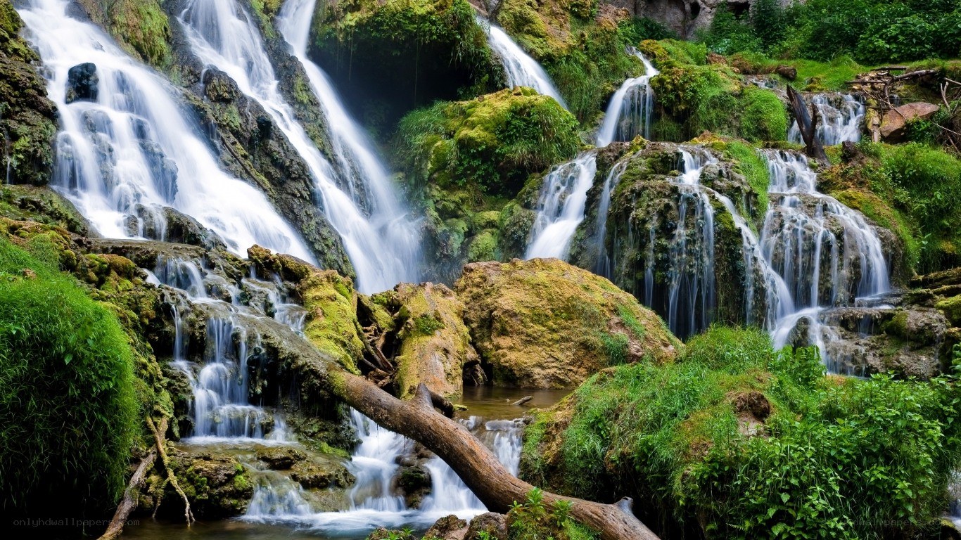 Waterfall in a lush green forest