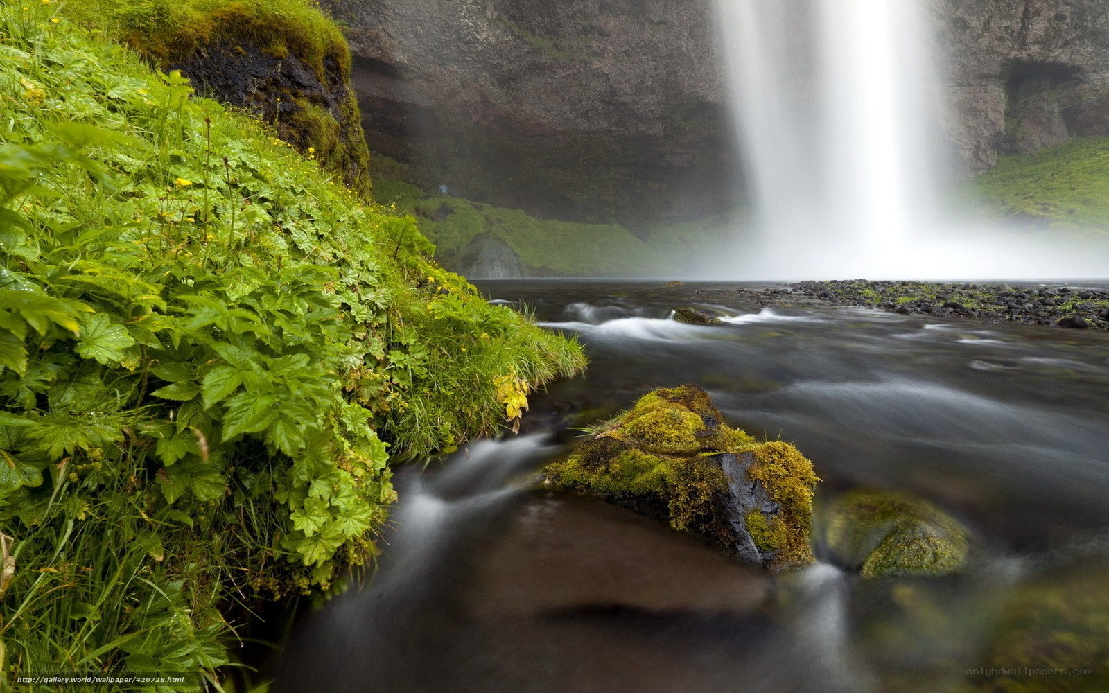 Waterfall in a lush green landscape