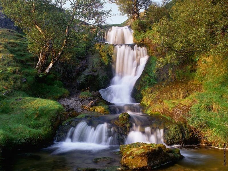 Waterfall in a lush green valley