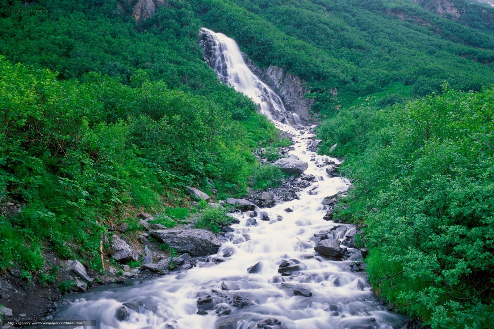 Waterfall in a lush green valley