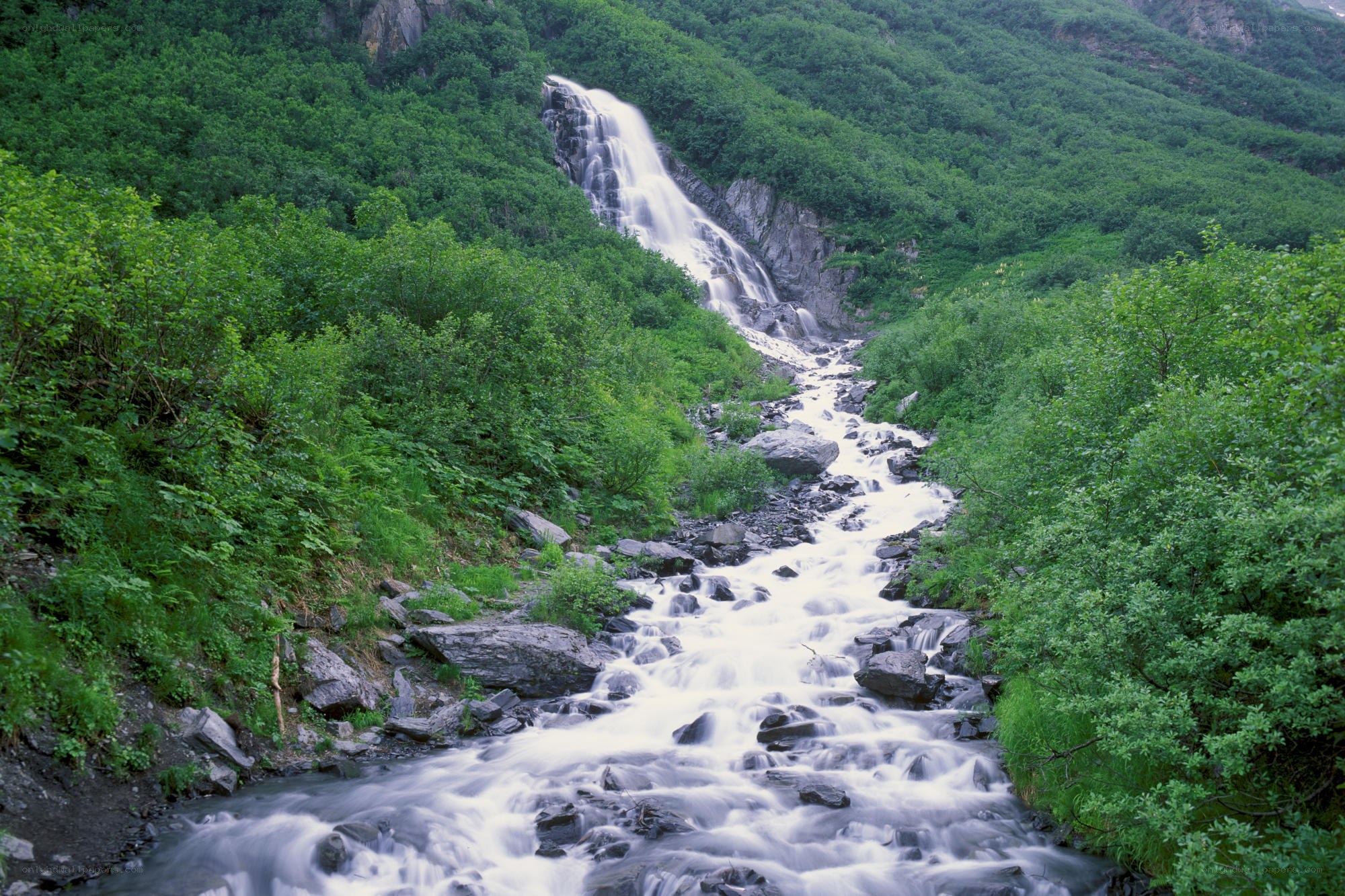 Waterfall in a lush green valley