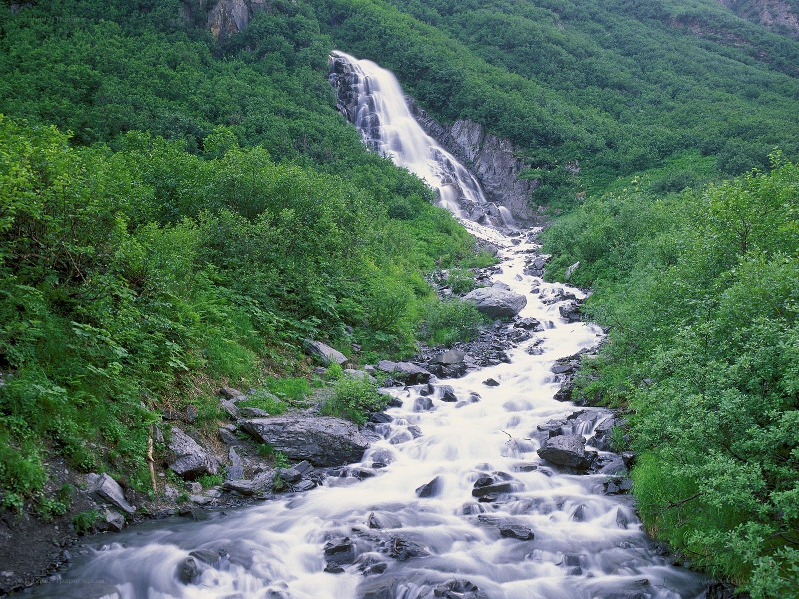 Waterfall in a lush green valley