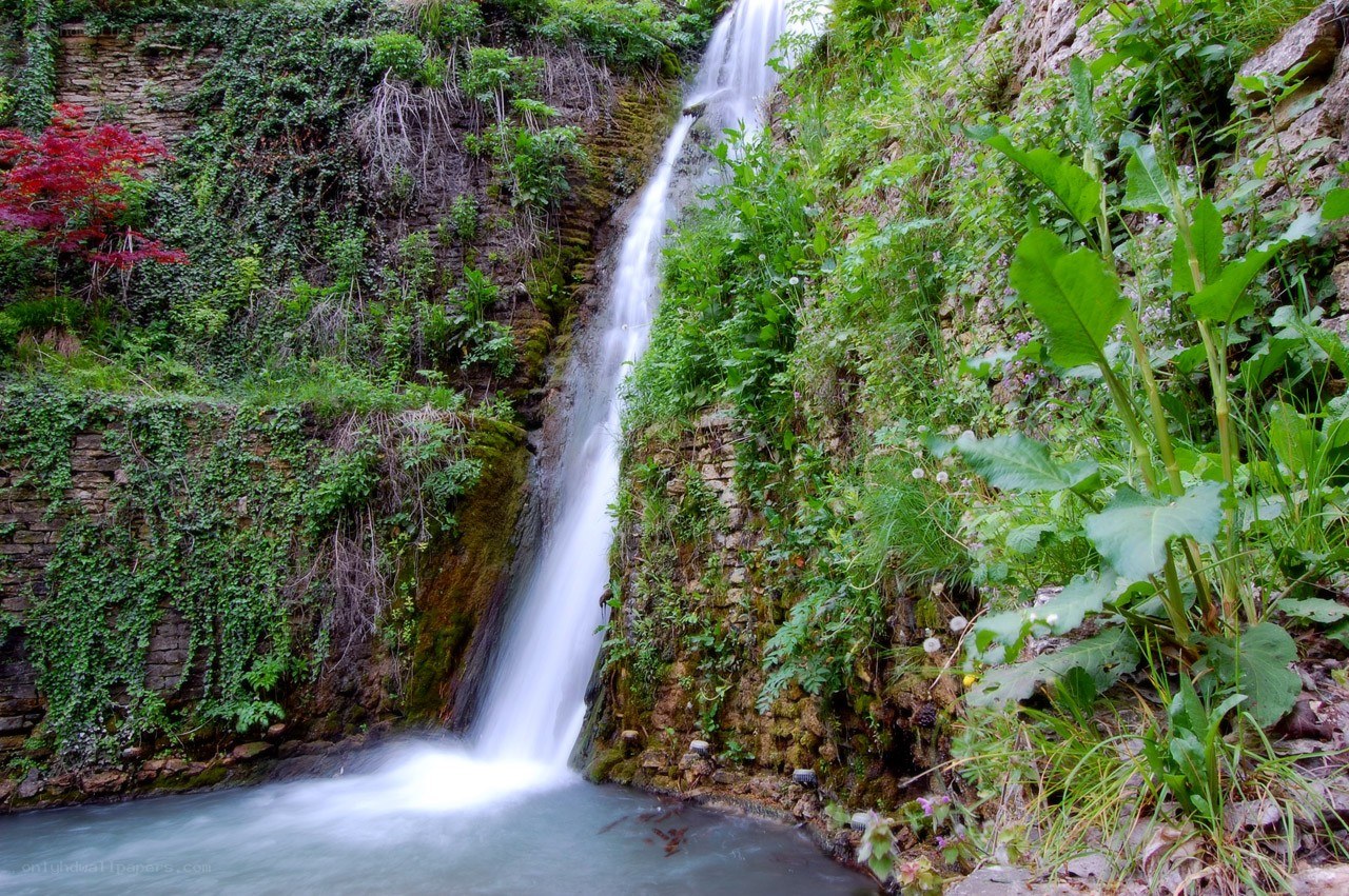 Waterfall in a lush green valley