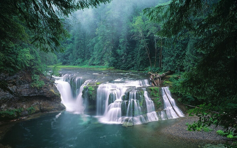 Waterfall in a misty forest