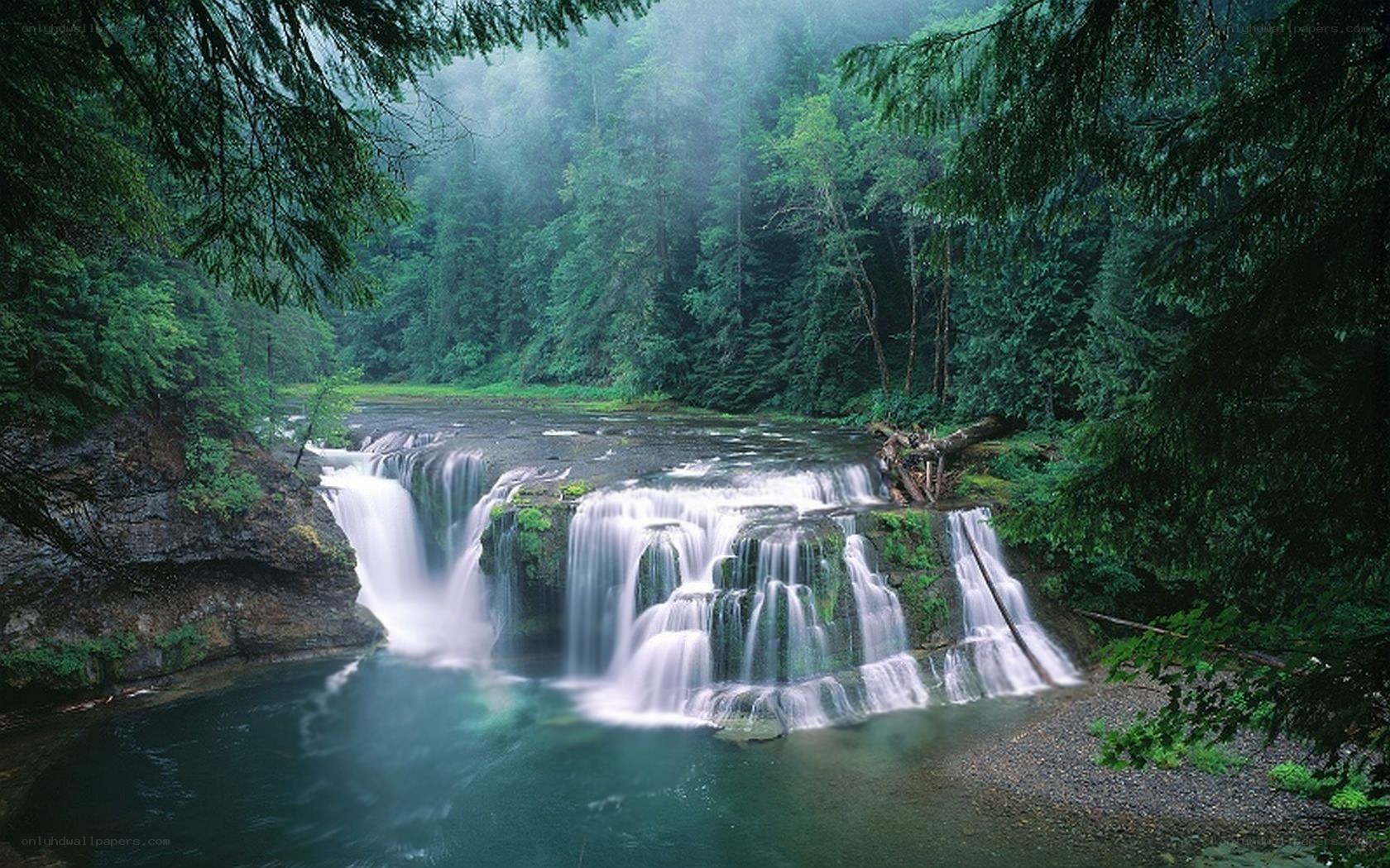 Waterfall in a misty forest