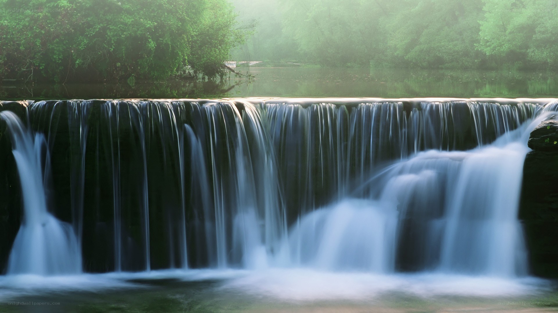 Waterfall in a misty forest