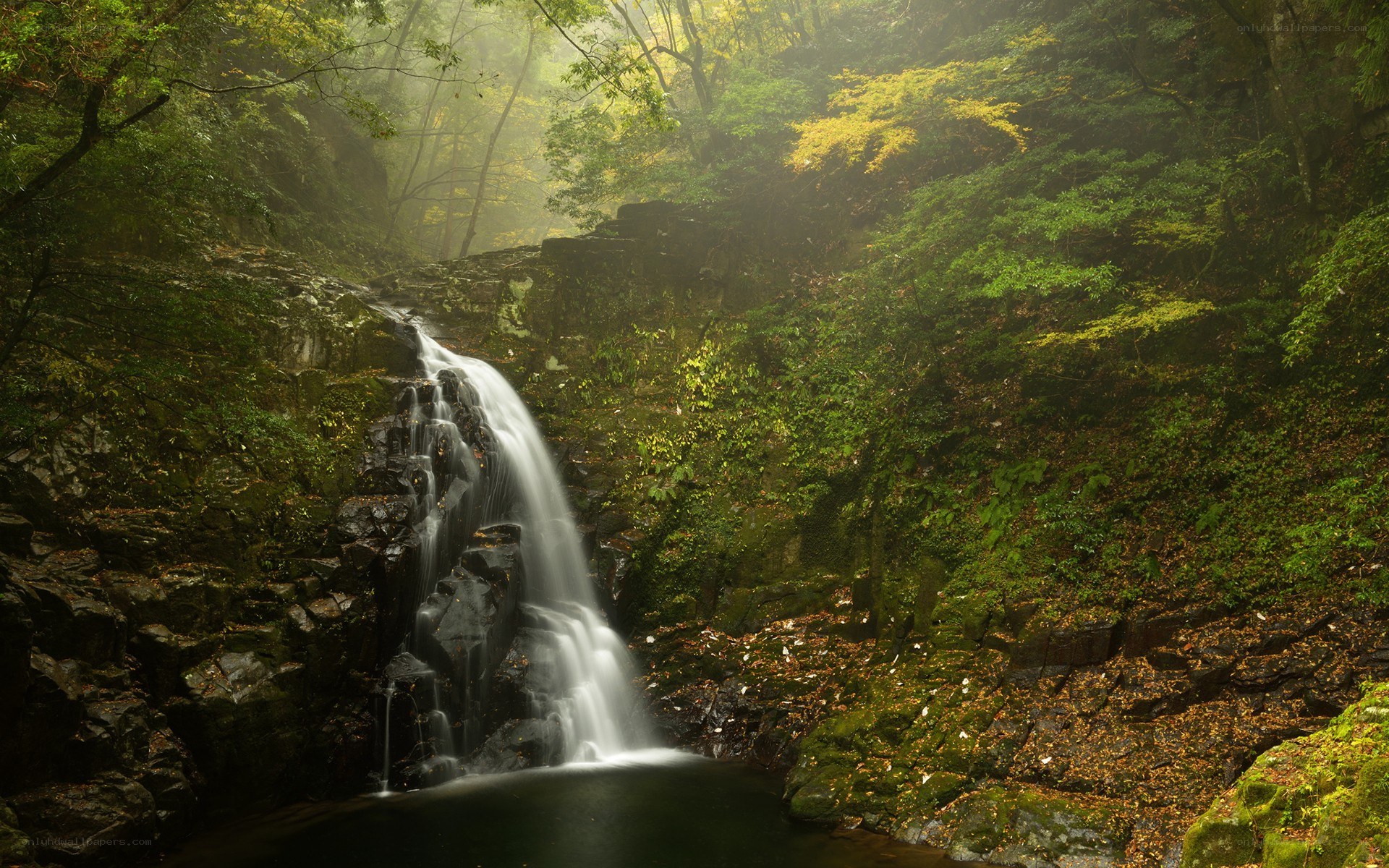 Waterfall in a misty forest