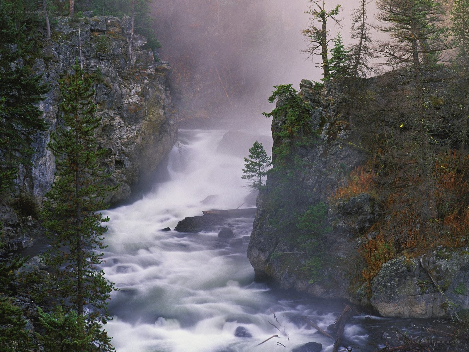 Waterfall in a misty forest canyon
